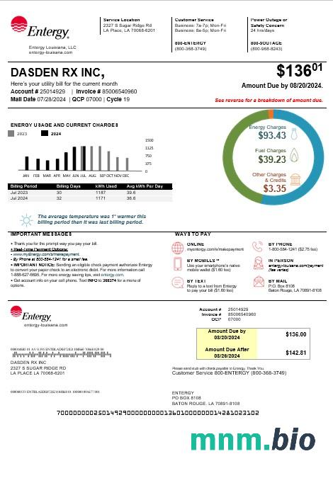 USA Louisiana Entergy rachunek za usługi komunalne szablon w formacie Word i PDF, Wersja 2